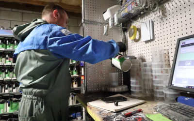 Why Paint Matching Matters in Auto Body Repairs